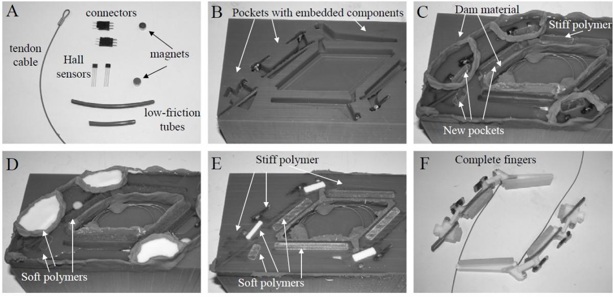 SDM Process