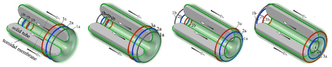 Whole Skin Locomotion Amoeba Robot