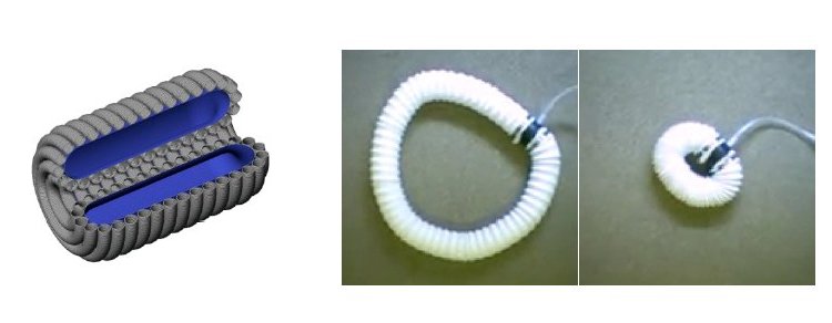 Whole Skin Locomotion Amoeba Robot