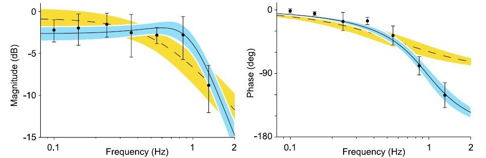 Electric Field Sensing Fish Bode Plot 