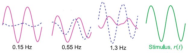 Electric Field Sensing Fish Bode Plot Data