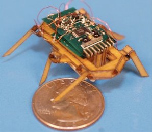 SMA-Driven Hexapod Robot Cockroach