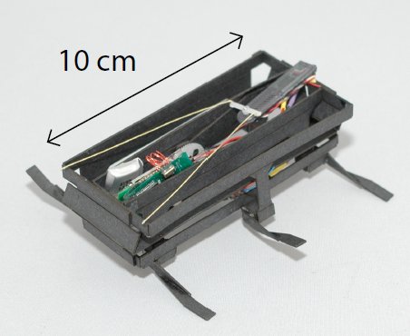 Dash Robot Cockroach