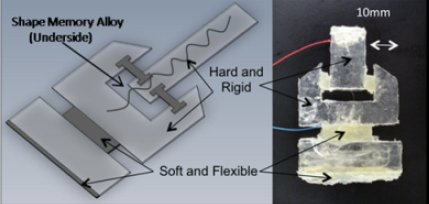 Milli-Robot Inchworm Robot