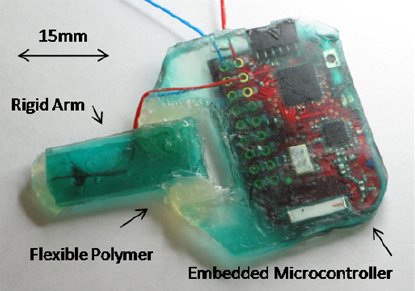 Milli-Robot Inchworm Robot