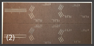 SCM Fabrication Steps