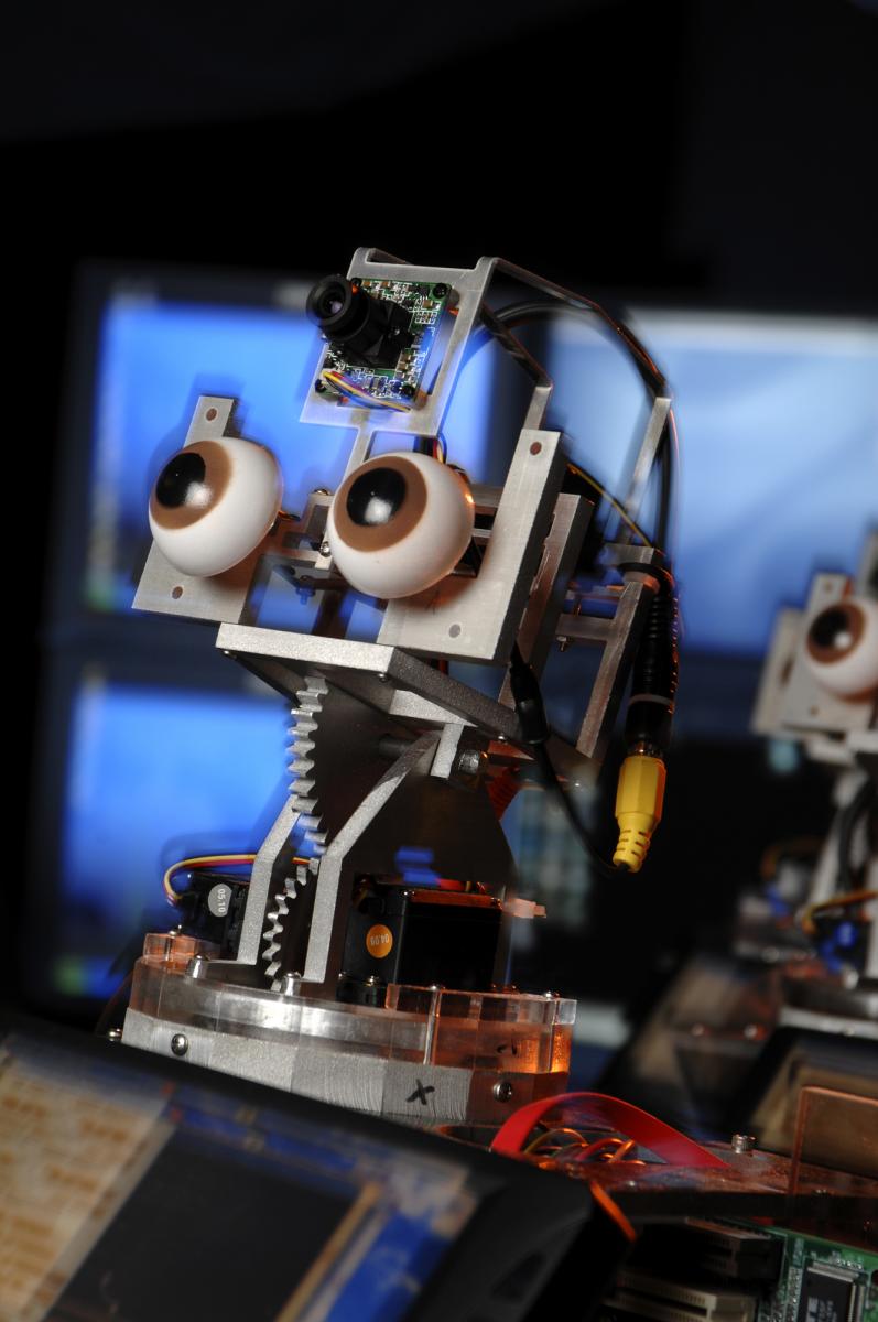 Building Robot Heads: Autom Weightloss Coach Prototype