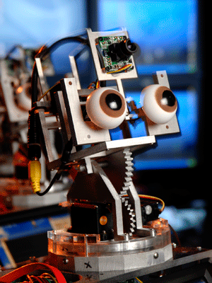 Building Robot Heads: Autom Weightloss Coach Prototype