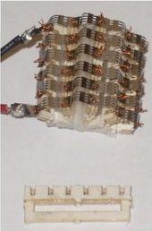 MIT Hex Roller Robot