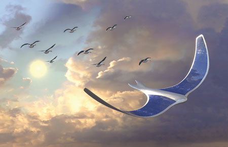 Electroactive Polymer (EAP) Ornithopter