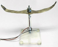 Electroactive Polymer (EAP) Flapping-Wing Craft