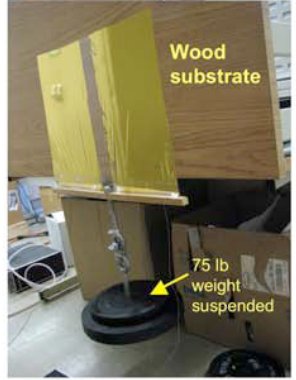 Electroadhesion supporting large weight