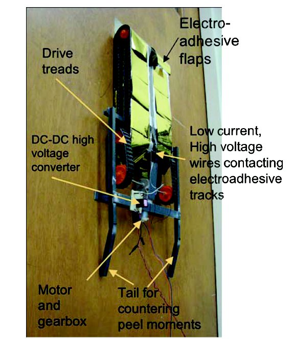Electroadhesive Robot
