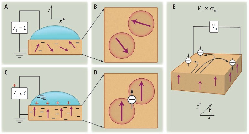 Tunable ferromagnetism (magnet)