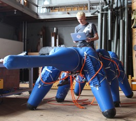 Ant-Roach Inflatable Robot Elephant