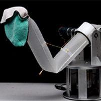 Inflatable Robot Arm