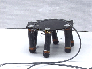 Electroactive Polymer Robot