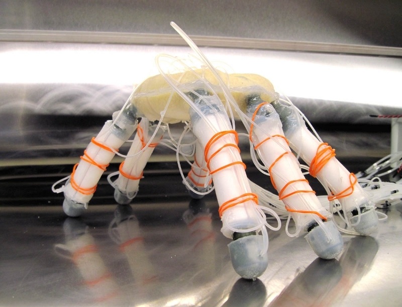 JamBot: A hexapod robot based on particle jamming