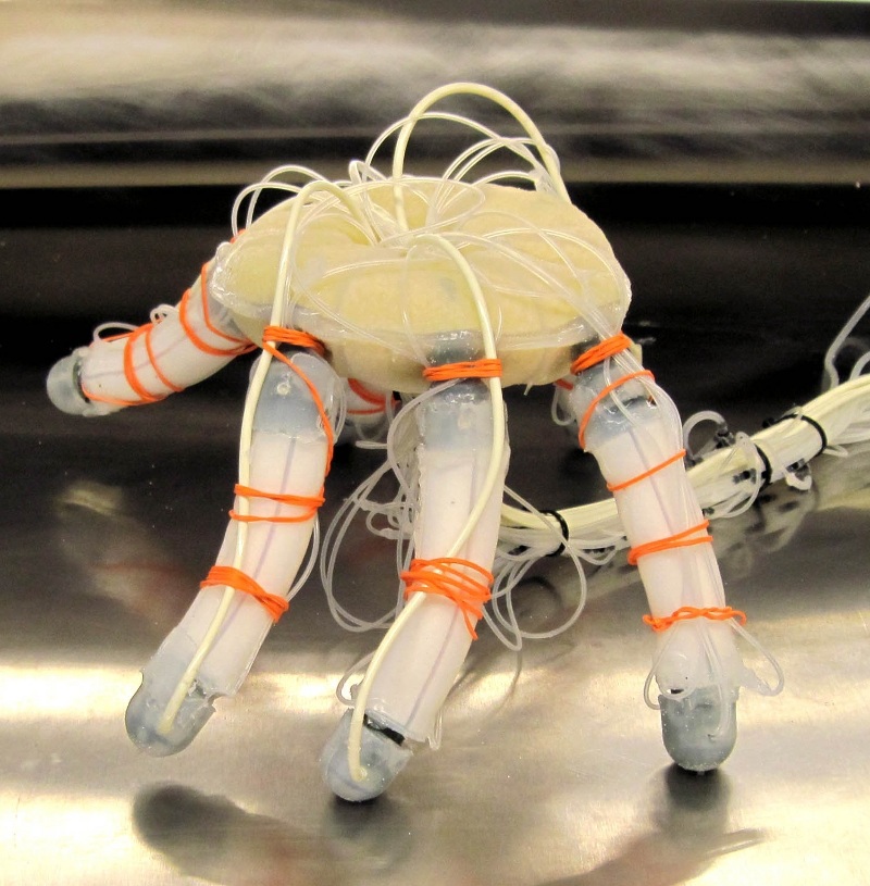 JamBot: A hexapod robot based on particle jamming