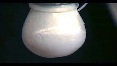 IRobot Jamming End Effector