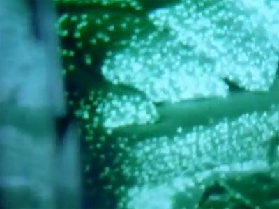 Kinects Projected Infrared Pattern