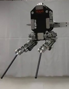 Hume humanoid robot from Meka Robotics