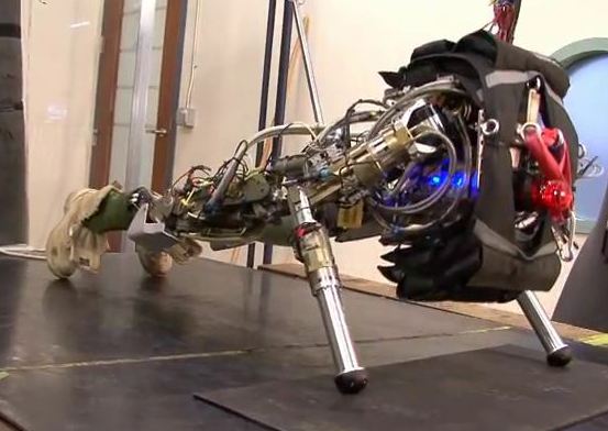PETMAN humanoid robot from Boston Dynamics