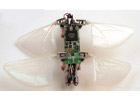 Robot Dragonfly by TechJect (A New Georgia Tech Spinoff Company)