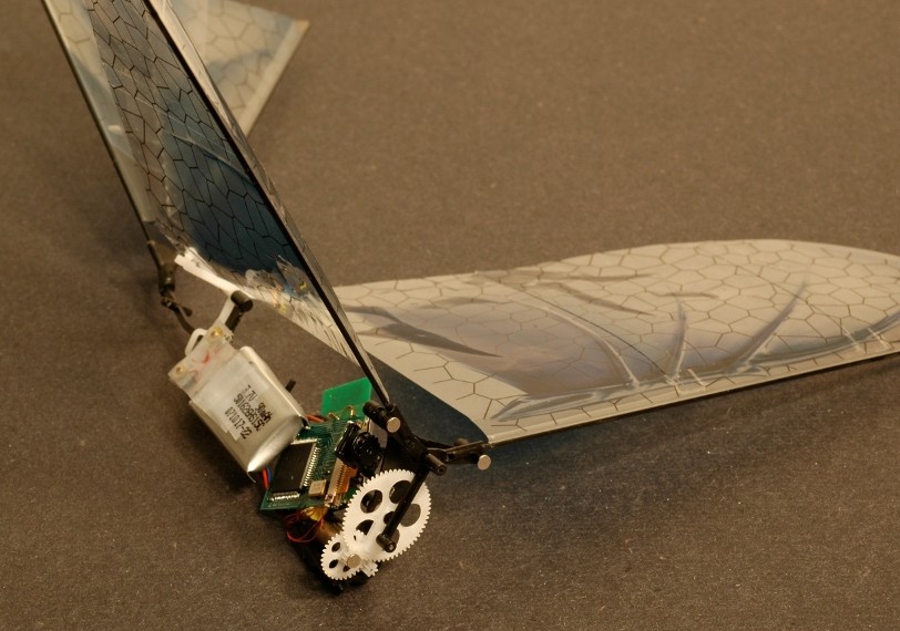 Robot Ornithoper from UC Berkeley