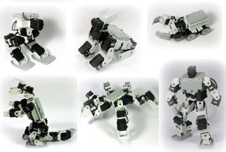 Bioloids Robot Kit