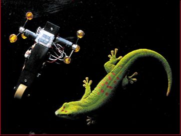 Mecho Gecko Robot