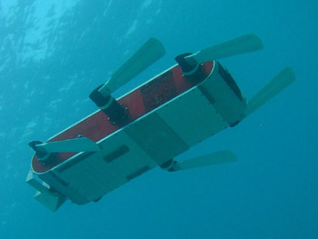 RHEX Robot Underwater