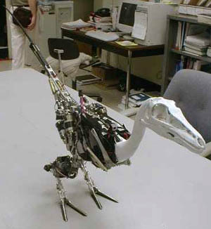 Troody the Robotic Dinosaur