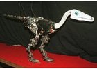 Troody the Robotic Dinosaur