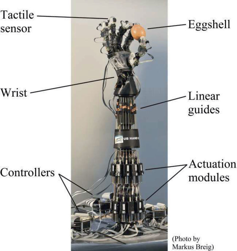 Twisted String actuator from Dexmart