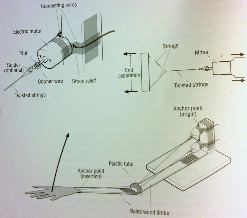 Twisted String Actuator for Children's toy